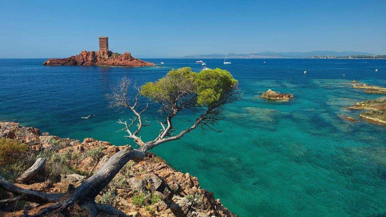 Appartement Zen A Frejus Avec Jardin, Piscine, Tennis, Proche Mer Dış mekan fotoğraf